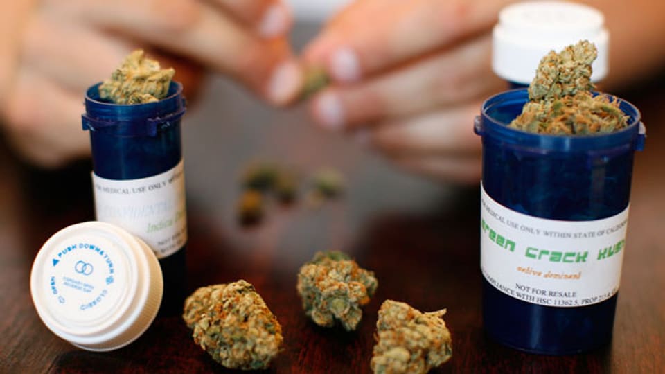 Wo Marijuana gegen Krankheiten angewendet werden darf, haben Ärzte im Schnitt 3500 Dosen weniger Schmerzmittel verschrieben.