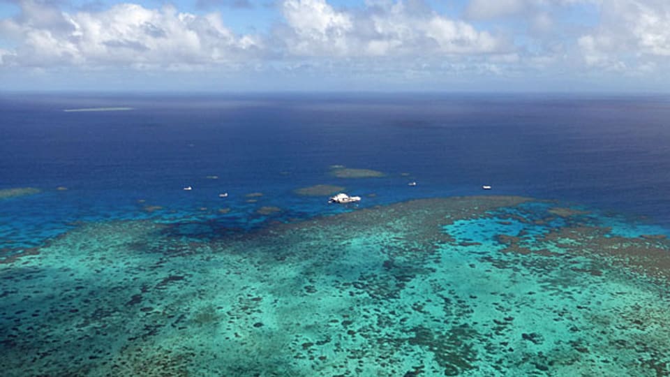 Die Hälfte der ausgebleichten Korallen des Great Barrier Reef sei am Sterben oder schon tot, sagt die Biologin. Bild: Tauchschiff vor dem Korallenriff vor der australischen Küste.