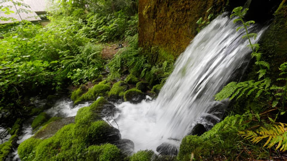 Die Einwohner von Oregon Hood River County sagen Nein zur Nutzung einer Frischwasserquelle.
