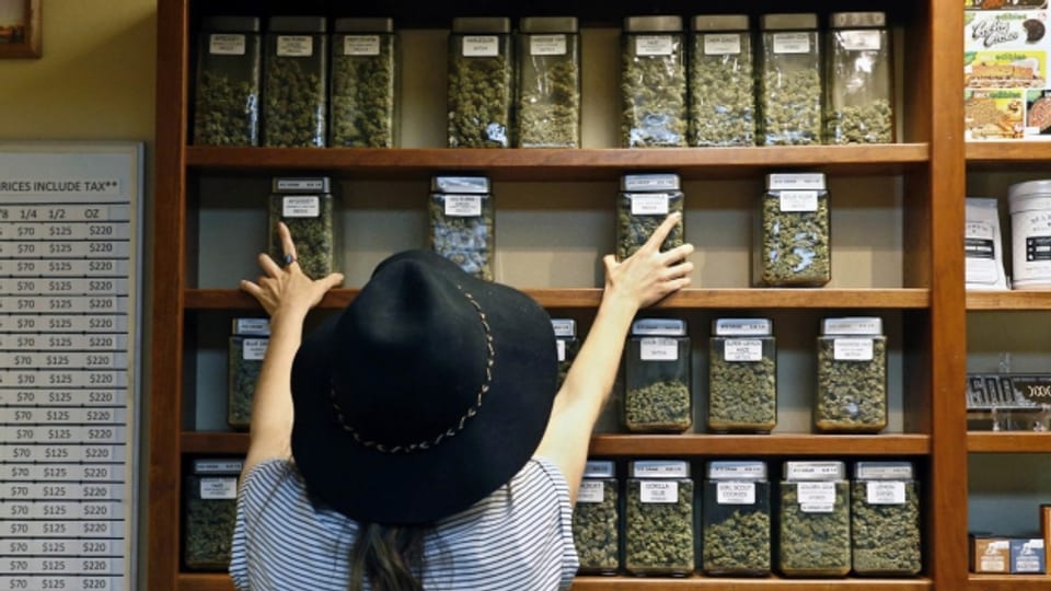 Ein Geschäft in Colorado bietet Dutzende von Cannabis-Sorten zum Verkauf an - völlig legal.
