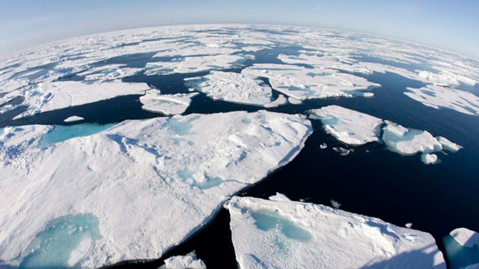 In der fragilen Arktis waren diesen Winter die Temperaturen stellenweise 20 bis 30 Grad höher als normal - also statt minus 30 war es 0 Grad.
