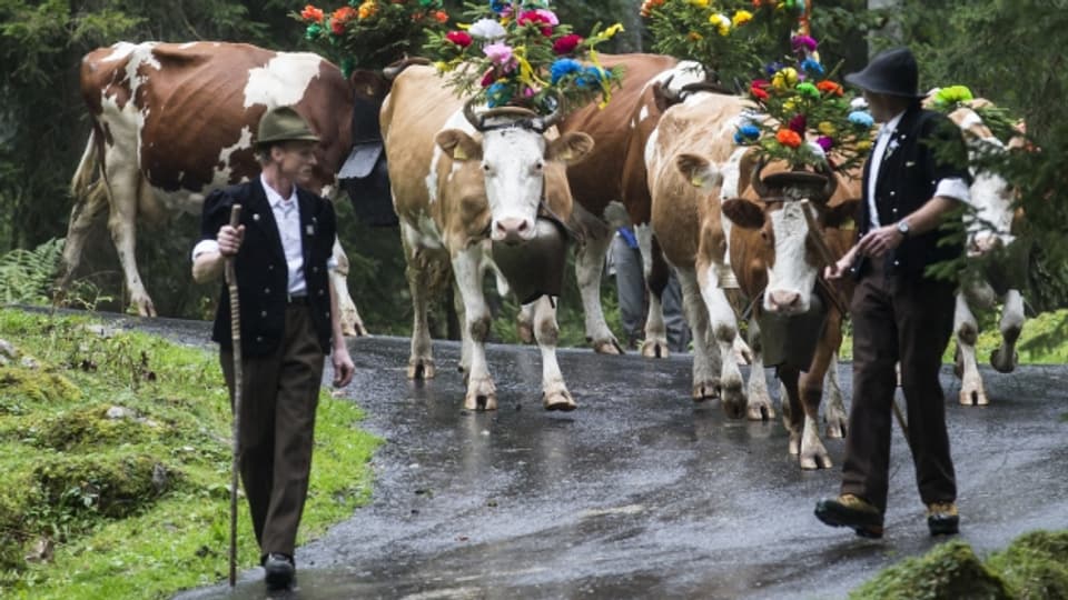 Viele Bauern haben keine Pensionskasse, darum brauchen sie eine hohe AHB.