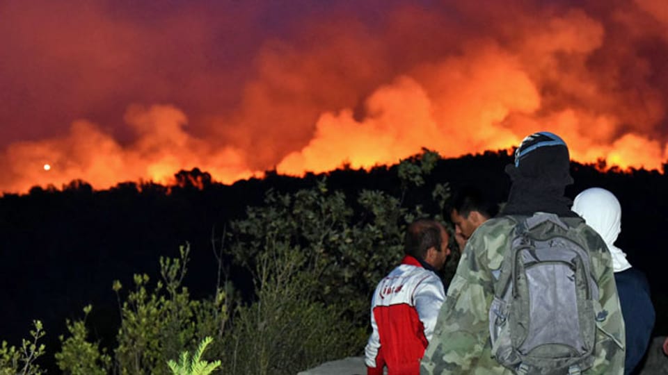 Waldbrände in Montenegro in der Nähe der Adriaküste.