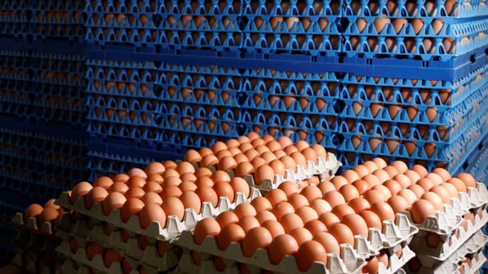 Im Skandal um mit Fipronil belastete Eier will die EU eine Krisensitzung einberufen.