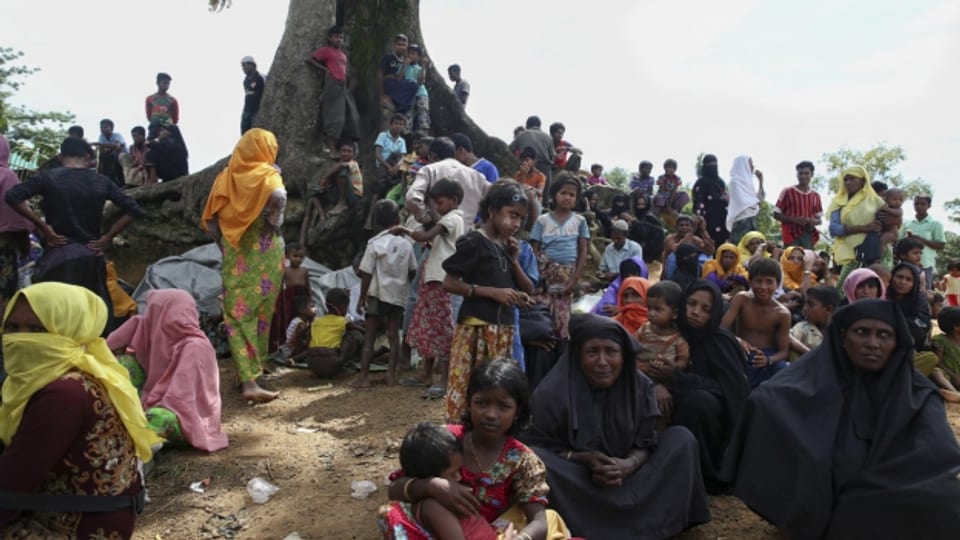 Rohingyas warten darauf, bis sie ins Flüchtlingslager Cox's Bazar in Bangladesch dürfen.