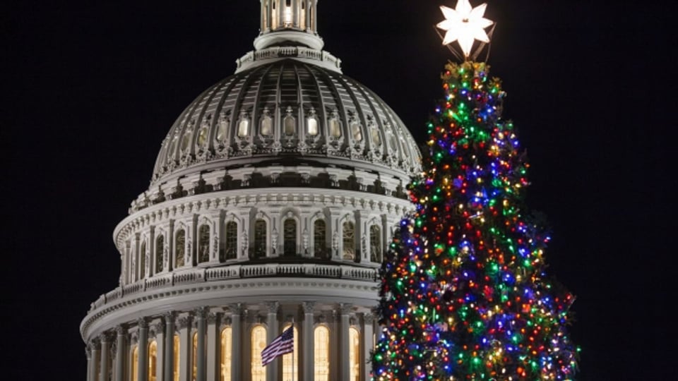 Weihnachtsbaum neben dem US-Capitol in Washington