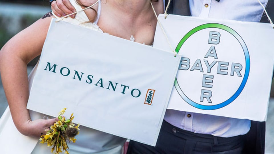 Bayer und Monsanto dürfen zusammen in eine für sie gewinnbringende Zukunft schreiten.