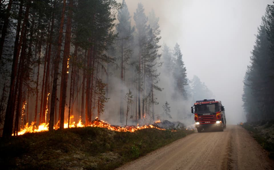 Einer der vielen Waldbrände, die derzeit in Schweden wüten.