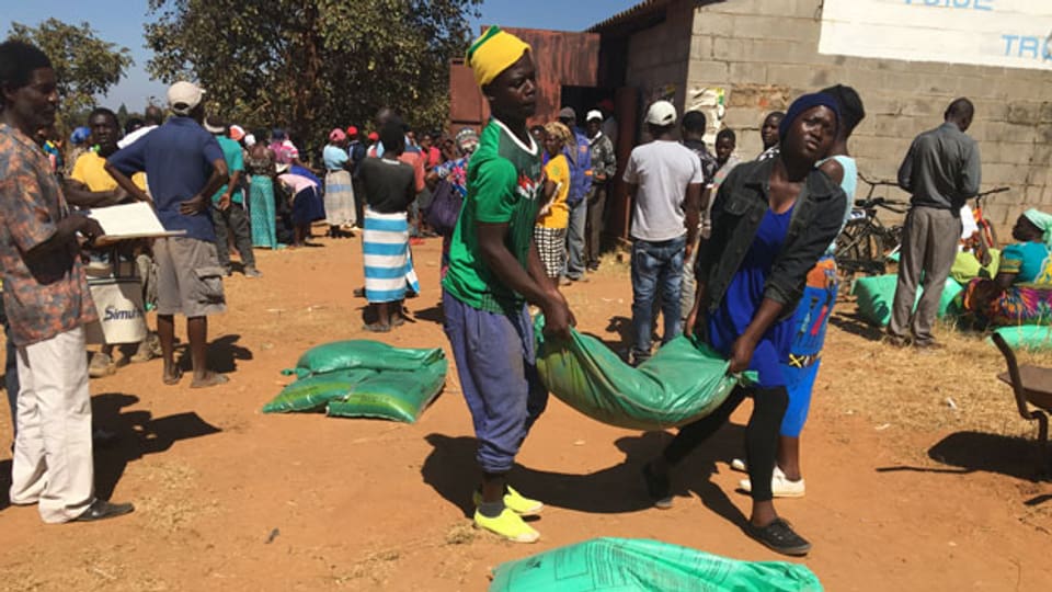 Simbabwe: Menschen stehen in Schlange, um die Stimme abzugeben.