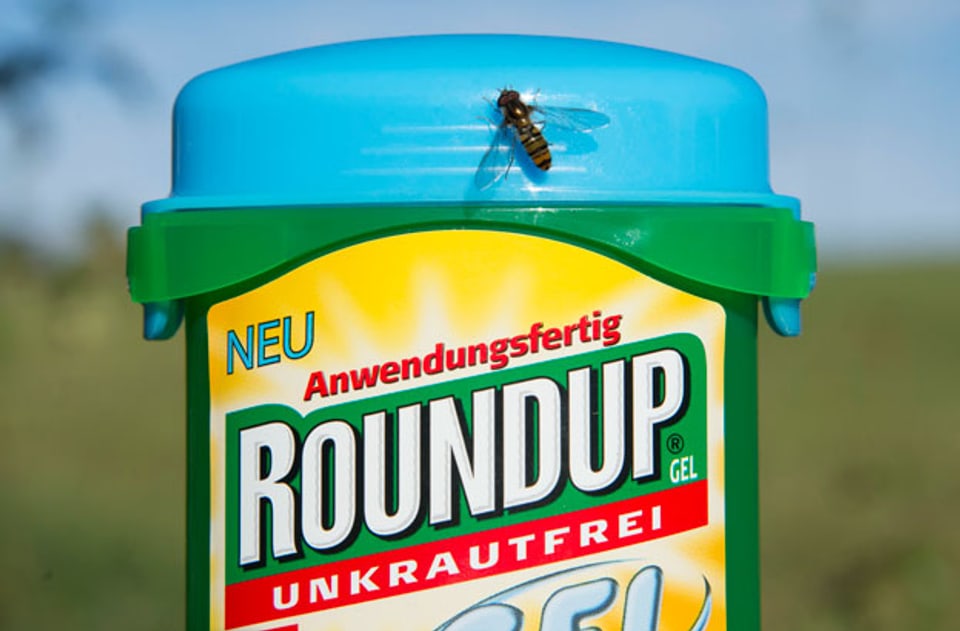 Der Unkrautvertilger Roundup, der Glyphosat enthält