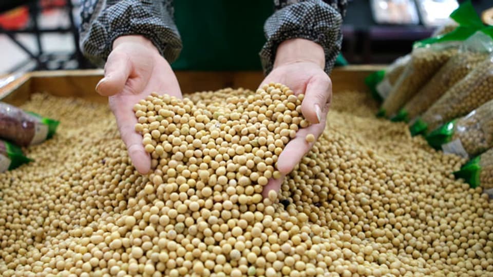 China importiert sehr viele Sojabohnen aus den USA - im Wert von rund 14 Milliarden Dollar pro Jahr. Neu verlangt China nun 25 Prozent Einfuhrzoll.