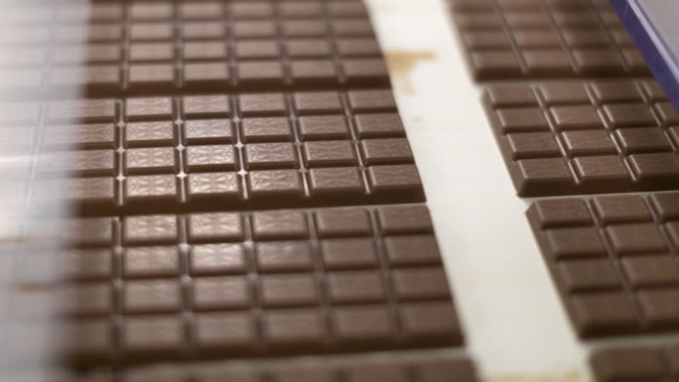 Schweizer Schokoladen-Produzenten sind auf verbilligte Milch angewiesen für den Export.
