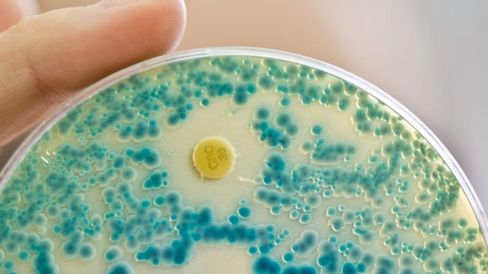 Resistente Bakterien sind auf dem Vormarsch.