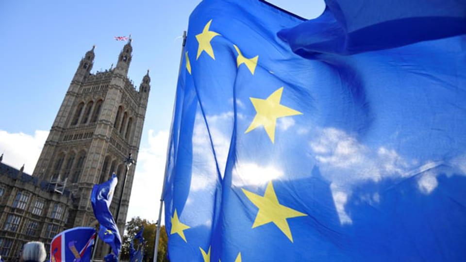 Anti-Brexit-Demonstranten winken mit EU-Flaggen vor dem Parlamentsgebäude in London.