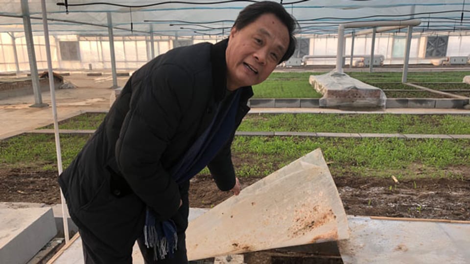 Li Yanrong betreibt die Kakerlakenfarm. Vor acht Jahren hat er mit der Zucht begonnen.