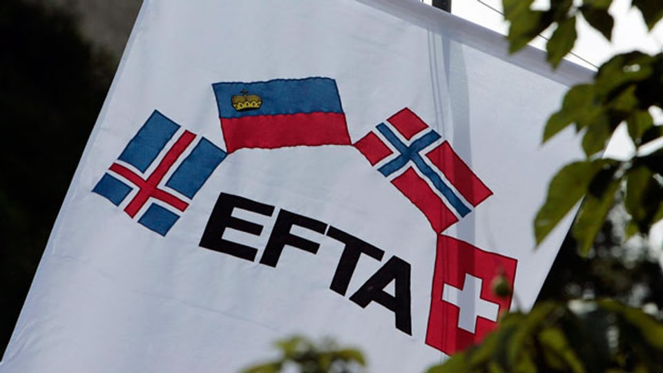 EFTA Fahne mit den Mitgliedsländern Island, Fürstentum Liechtenstein, Norwegen und der Schweiz.