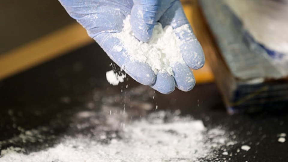 Immer mehr Kokain aus Südamerika gelangt nach Europa.