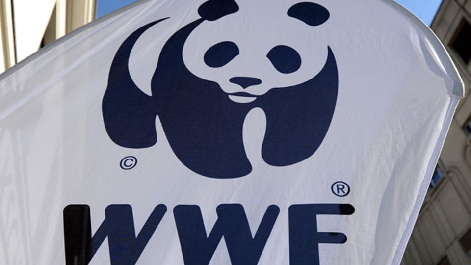Das Logo des WWF.