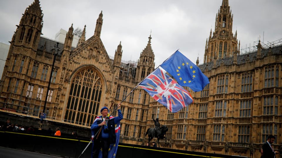 Ein Brexit-Gegner vor dem Parlament in London.