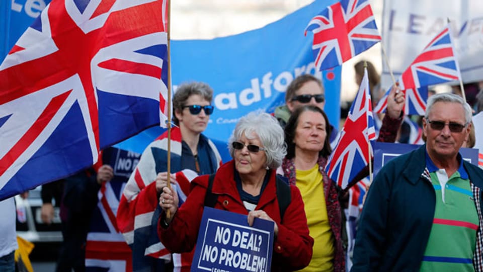 Brexit-Befürworter protestieren vor dem Westminsterpalast in London.