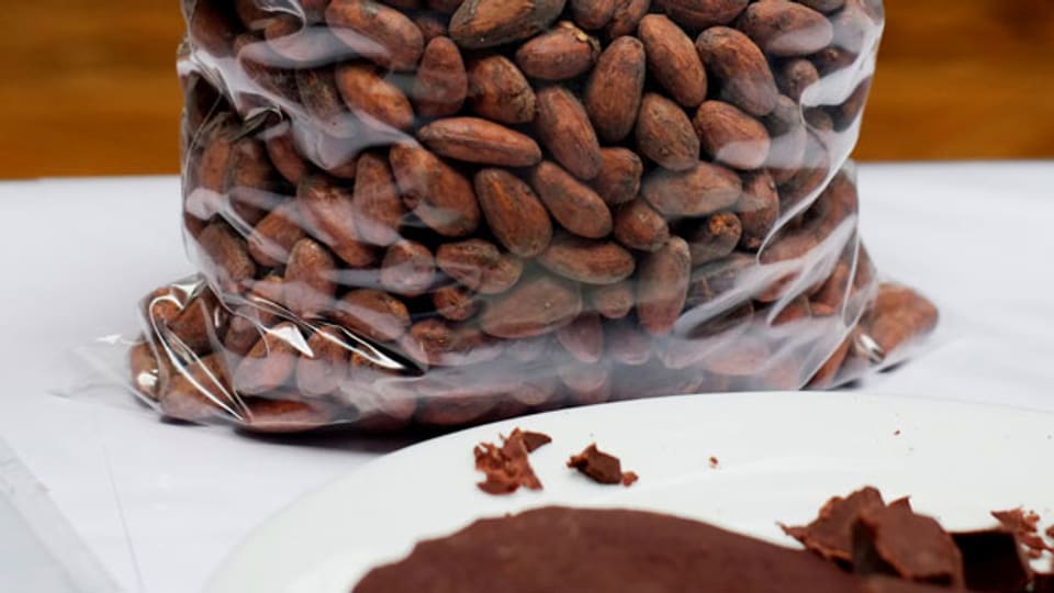 Kakaobohnen und Schokoladenstücke.