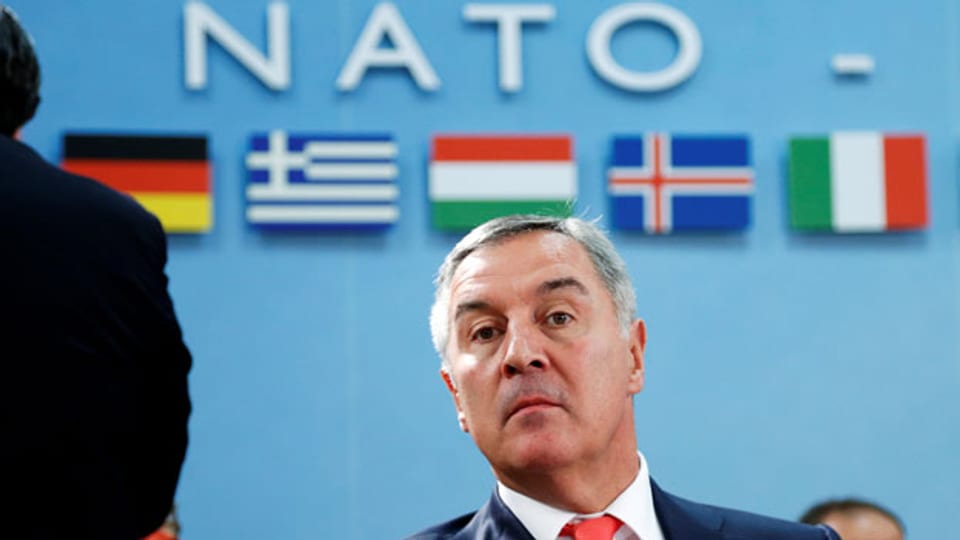 Montenegros Premierminister Milo Djukanovic am 19. Mai 2016 an einem Nato-Treffen in Brüssel.