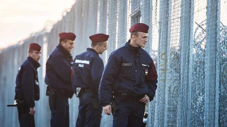 Ungarische Polizisten suchen an einem Grenzzaun in Ungarn nach Flüchtlingen.