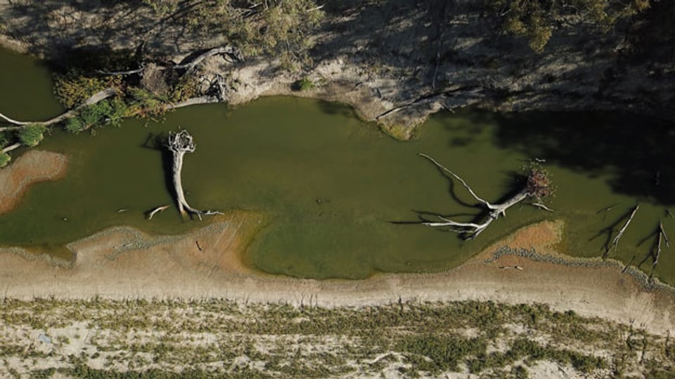 Schwindender Wasserlevel im Darling-River in Australien.
