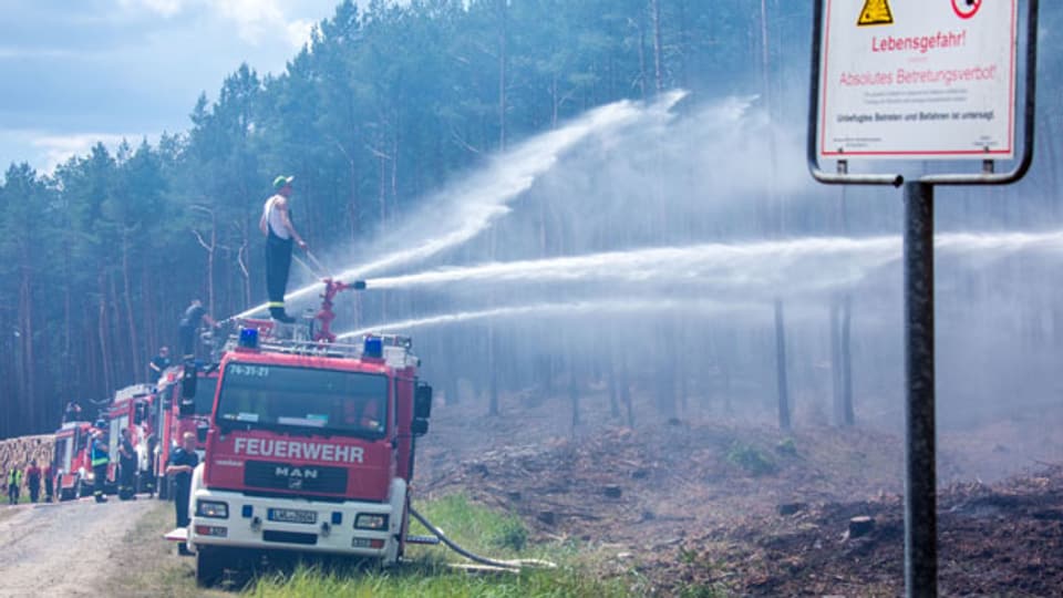 Feuerwehrleute löschen in der Nähe der evakuierten Ortschaft Alt Jabel einen grossflächigen Waldbrand.