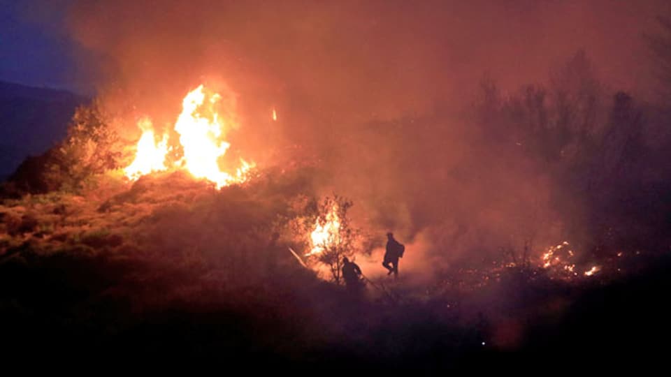 Waldbrand in Griechenland.