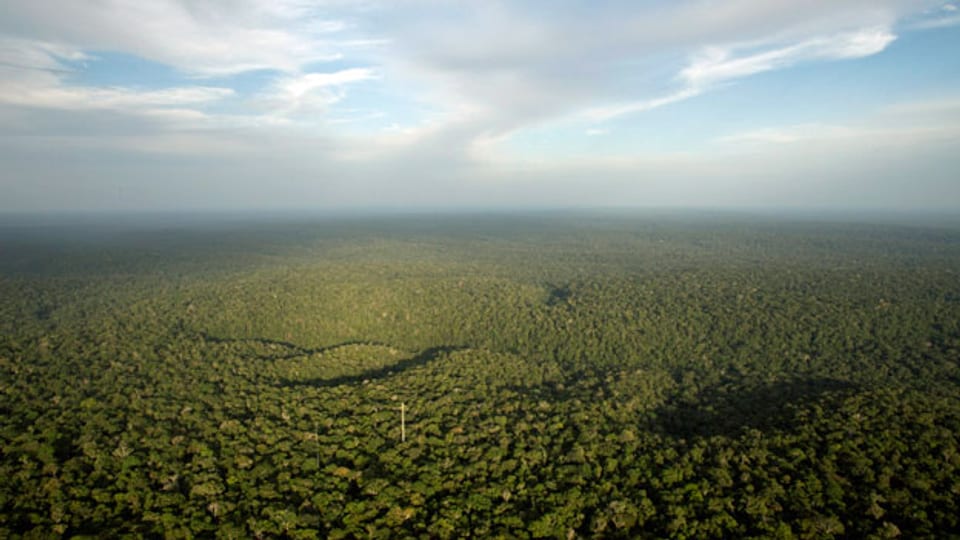 In der Mitte des Amazonas-Waldes im Bundesstaat Amazonas.