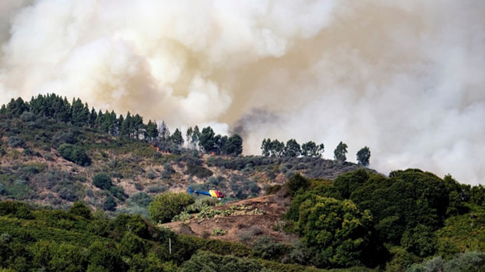 Waldbrände auf Gran Canaria geraten ausser Kontrolle