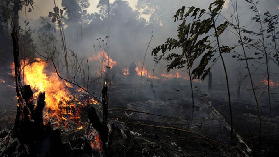 Waldbrand in einem Teil des Amazonas-Regenwaldes.
