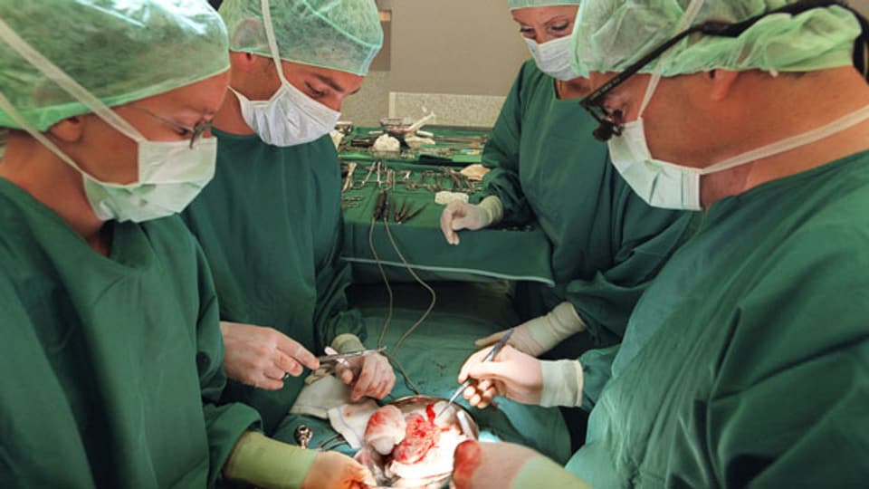 Ärzte bei einer Nierentransplantation.