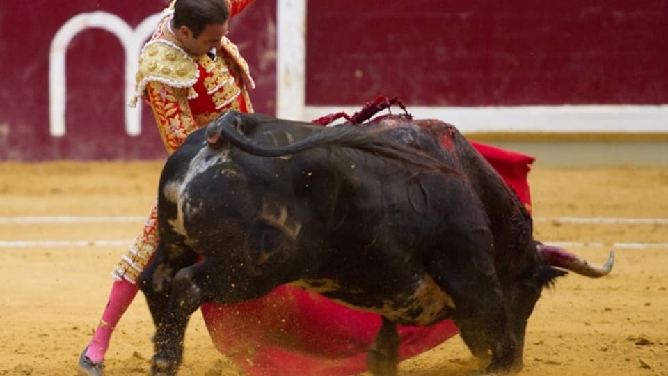 Für viele ein rotes Tuch: Ein Matador im blutigen Kampf mit einem Stier.