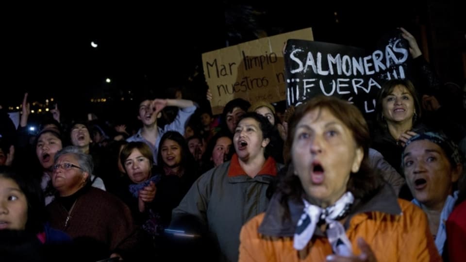 Die Lachsfarmen wecken auch Wut und Ängste bei den lokalen Fischern: hier Proteste auf der Insel Chiloé