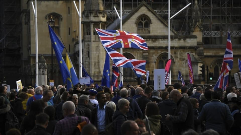 Anti-Brexit-Demonstration vor dem Parlament in London