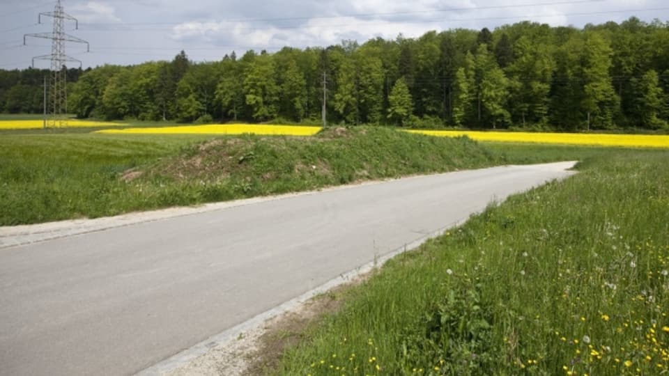 Strasse im Aargau - diese sollen künftig zu 80% aus rezyklierten Stoffen gebaut werden.