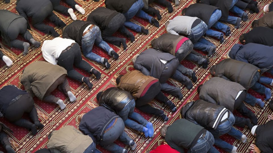 Muslime beten in der Moschee im Haus der Religionen in Bern. Symbolbild.
