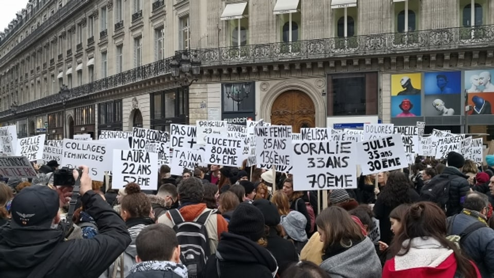 Demonstration in Paris gegen häusliche Gewalt