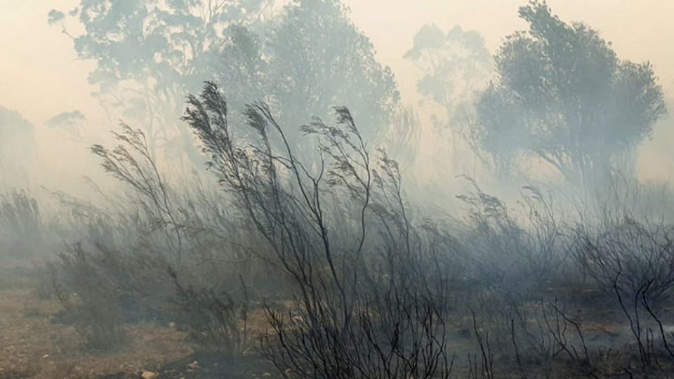 Brände in Australien.