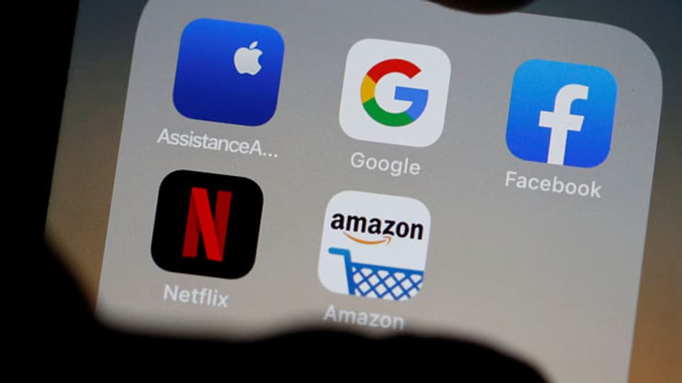 Logos von von Google, Amazon, Facebook, Apple und Netflix.