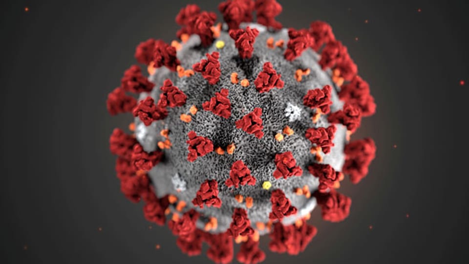 Illustration des Corona-Virus.