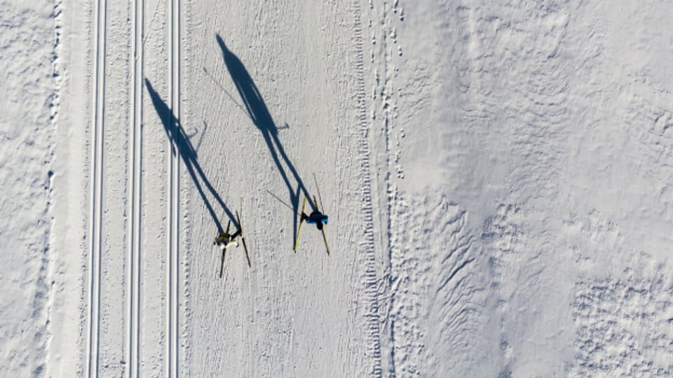 Zwei Langläufer auf Schweizer Loipen unterwegs.