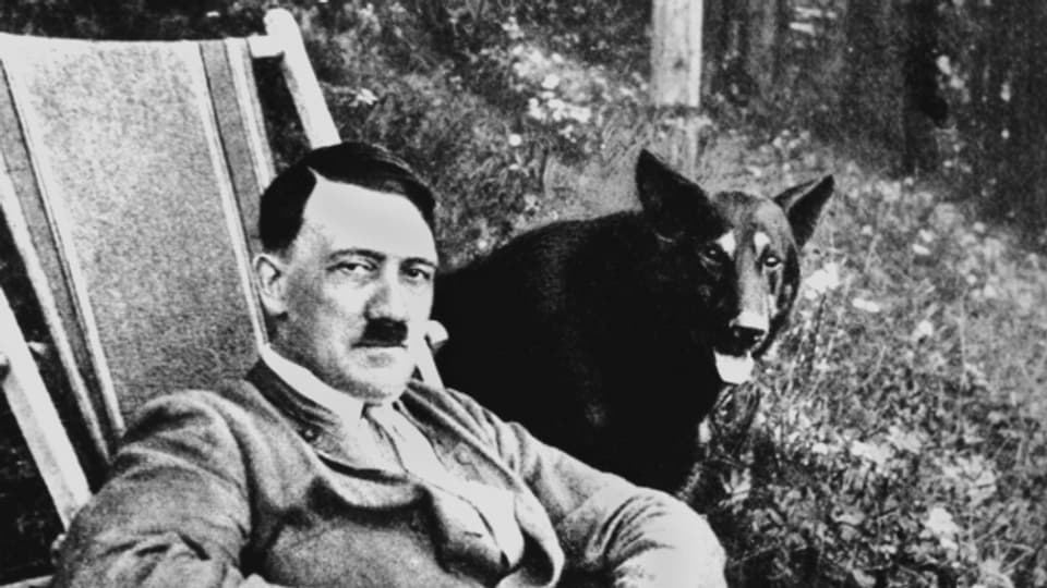 Adolf Hitler mit Hund in einer undatierten Aufnahme.