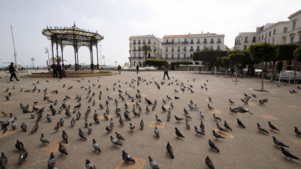 Blick auf den leeren Märtyrerplatz in Algier, Algerien.