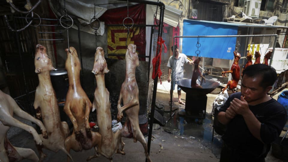 Hundefleisch auf einem chinesischen Markt