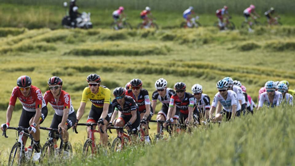 Velorennfahrer auf der Tour de Suisse 2019.