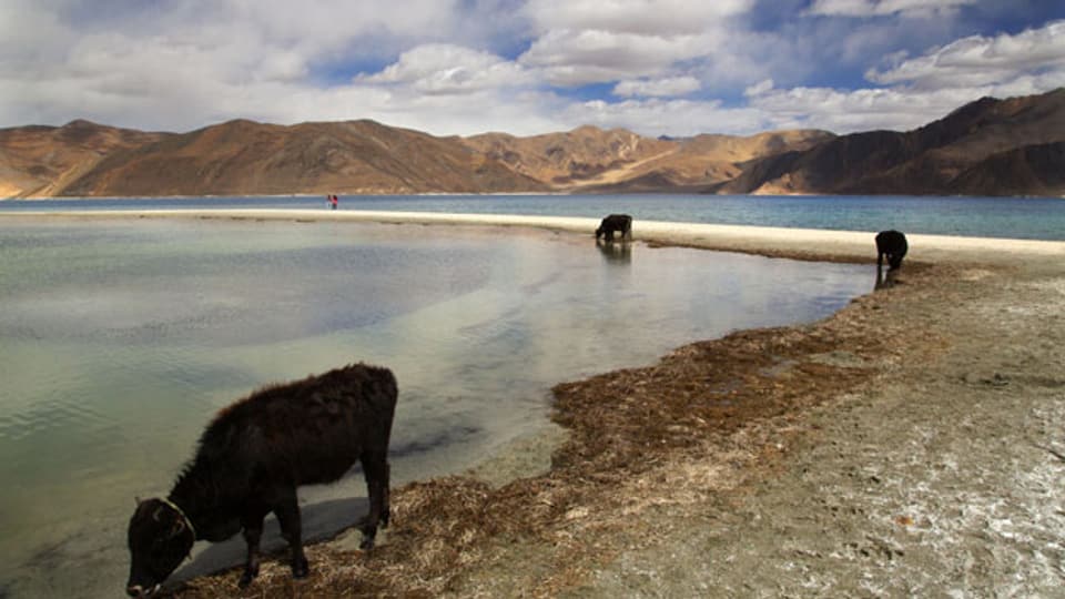 Der Pangong Lake in der Region Ladakh, Indien. Auch hier verläuft die Grenze zwischen Indien und China.