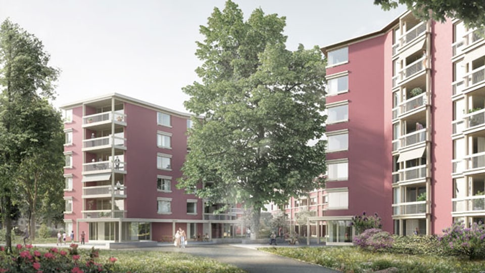 In der Siedlung Espenhof in Albisrieden entsteht ab 2025 Lebensraum für ältere Angehörige der LGBTI*-Gemeinschaft.